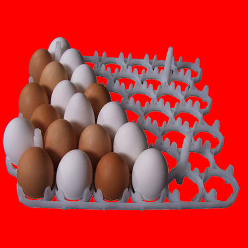 شانه مرغ ۴۲تایی