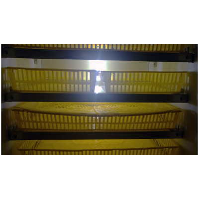 دستگاه هچر طاووس ۵۰۴تایی مدل RH504